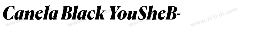 Canela Black YouSheB字体转换 Canela Black YouSheB字体转换
